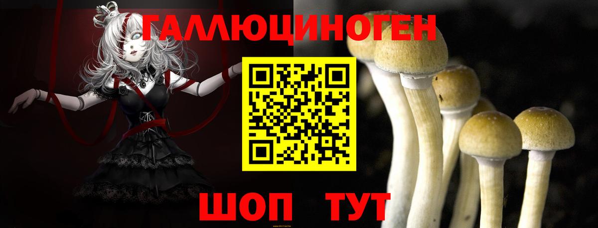 Псилоцибиновые грибы Magic Shrooms  Вход с VPN  Галлюциногенные грибы Psilocybine cubensis  Черкесск 